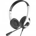 A4Tech Гарнитура A4Tech FH100U Panda