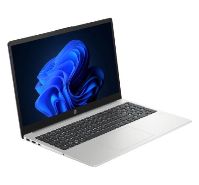 HP Ноутбук HP 255 G10 (AL0G7AT)