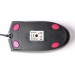 A4Tech Миша A4Tech OP-550NU Black USB V-Track
