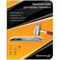 Grand-X Захисне термоскло Grand-X для Lenovo Tab X103F / A10-30 /TB2-30XF Black (GXLT21030)