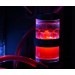 Alphacool Охолоджуюча рідина Alphacool Eiswasser Crystal Red premixed coolant 1000ml (18549)