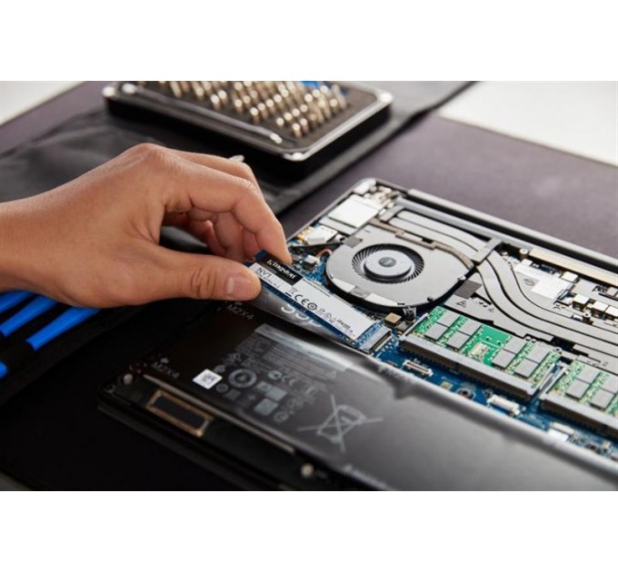 Kingston Накопичувач SSD  250GB M.2 NVMe Kingston NV1 M.2 2280 PCIe 3.0 x4 3D TLC (SNVS/250G)