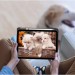 BeCover Чохол до планшета BeCover Soft Edge TPU Apple Pencil Apple iPad Air (4/5) 2020/2022 10.9" Black (711696)