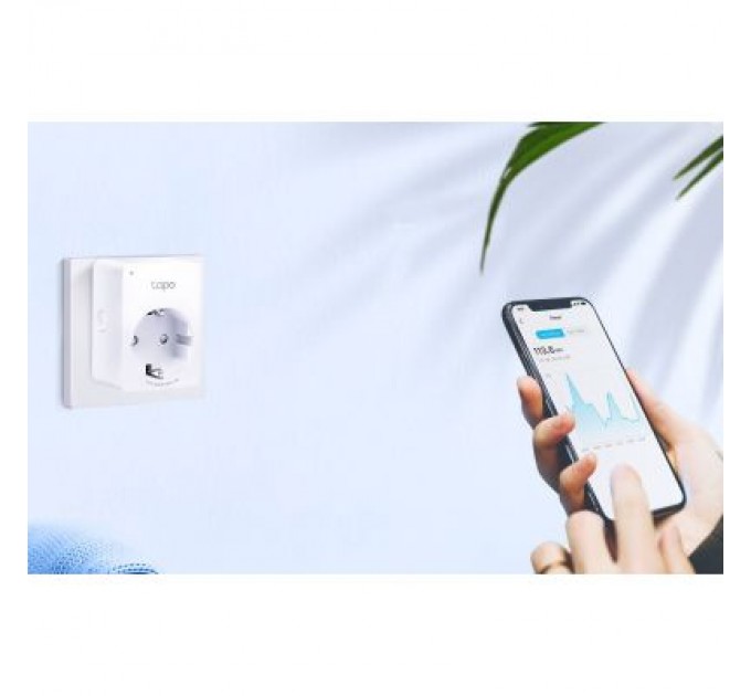 TP-Link Розумна розетка TP-Link Tapo P110
