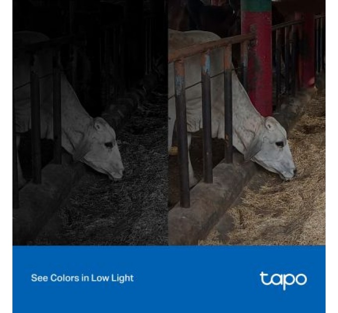 TP-Link Камера відеоспостереження TP-Link TAPO-C320WS