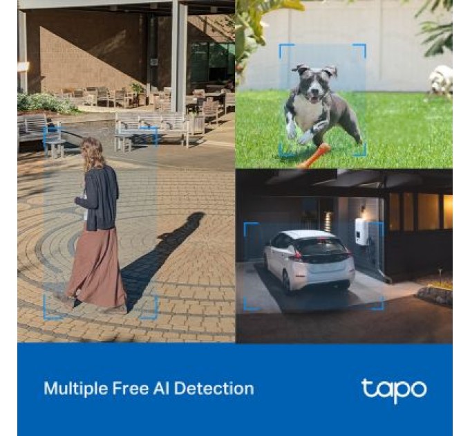 TP-Link Камера відеоспостереження TP-Link TAPO-C520WS