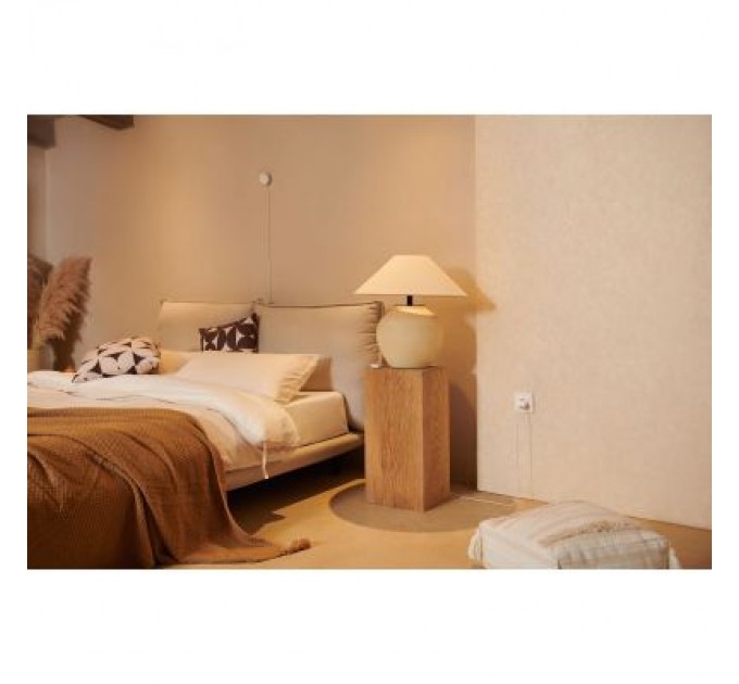 Розумна розетка Aqara WP-P01D