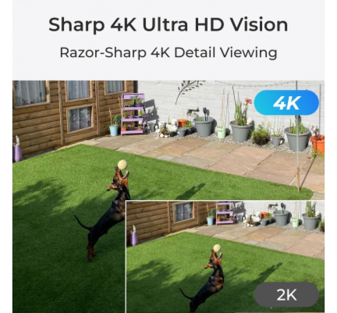 Reolink Камера відеоспостереження Reolink W437