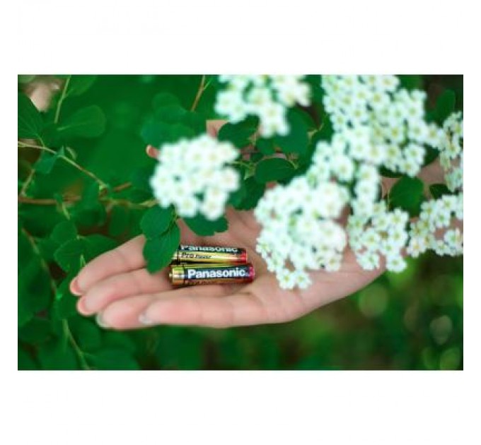 Panasonic Батарейка Panasonic AAA LR03 Pro Power * 2 (LR03XEG/2BPR / LR03XEG/2BP)