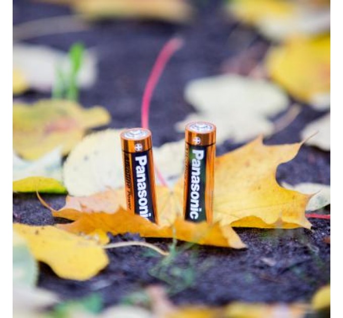 Panasonic Батарейка Panasonic LR06 Alkaline Power * 2 (LR6REB/2BP)