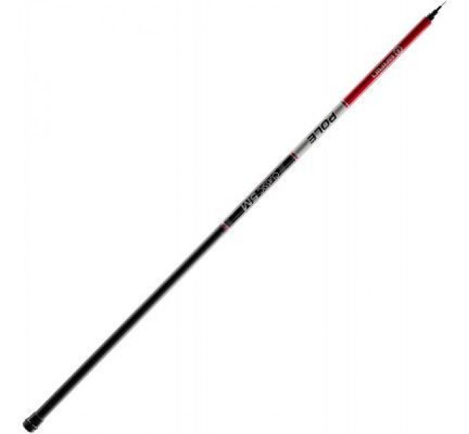 Brain Вудилище Brain Classic 4 (3.76) м (1858.41.84)