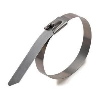 Хомут автомобільний Li Locar металевий (LL E6046300)