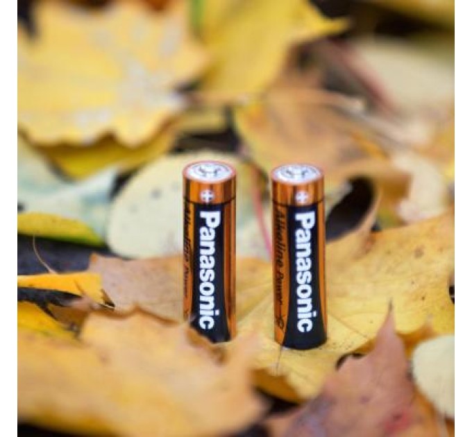 Panasonic Батарейка Panasonic LR06 Alkaline Power * 10 (LR6REB/10BW)