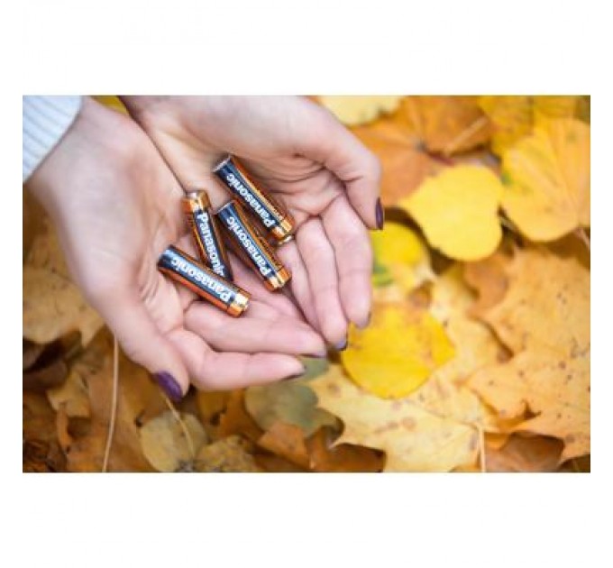 Батарейка Panasonic LR06 Alkaline Power * 20 (LR6REB/20BW)