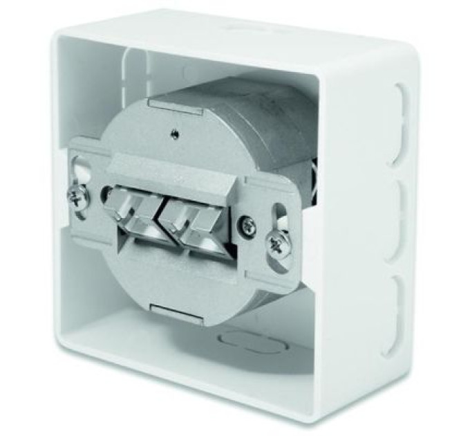 Assmann Комп'ютерна розетка Digitus 2xRJ45 FTP, для відкритої проводки (DN-9002-N)