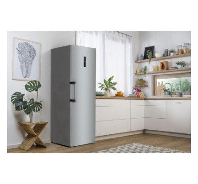 Морозильна камера Gorenje FN619EAXL6
