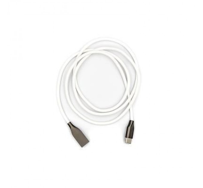 PowerPlant Дата кабель USB 2.0 AM to Type-C 1.0m white PowerPlant (CA910717)