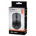 REAL-EL Мишка REAL-EL RM-207, USB, black