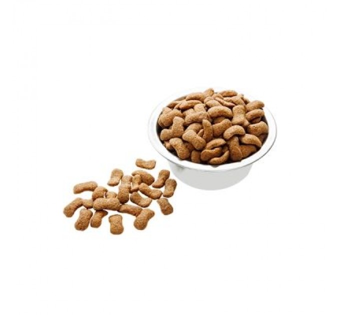 Пан Пес Сухий корм для собак Пан Пес Лікар-А 10 кг (4820111140336)