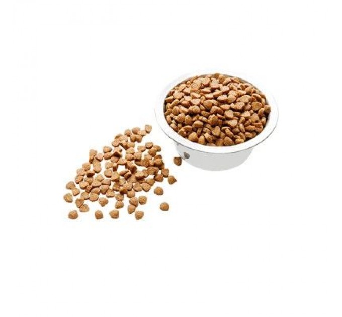 Пан Пес Сухий корм для собак Пан Пес Юніор 10 кг (4820111140305)