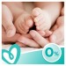 Pampers Дитячі вологі серветки Pampers Sens 80 шт (8001841041421)