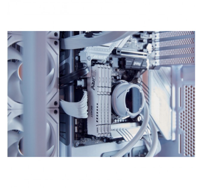 Модуль пам'яті для комп'ютера DDR5 32GB 6000 MHz Beast EXPO White Kingston Fury (ex.HyperX) (KF560C36BWE-32)