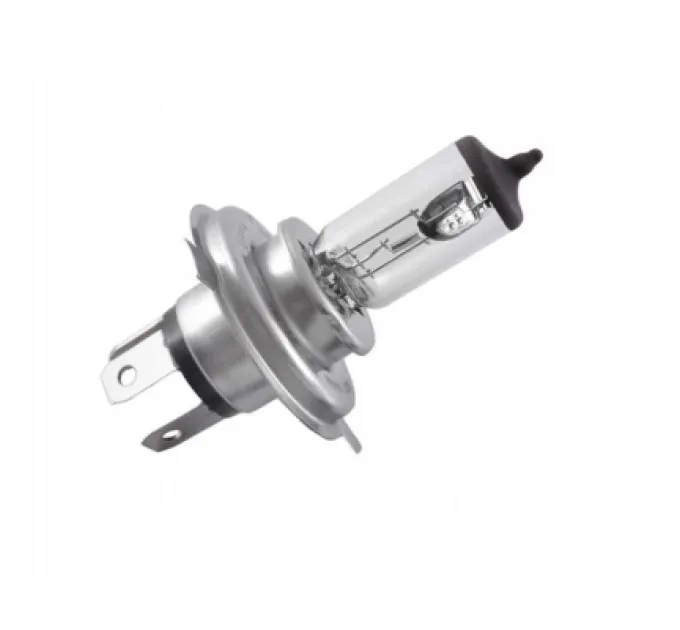 Bosch Автолампа Bosch галогенова 60/55W (1 987 302 803)
