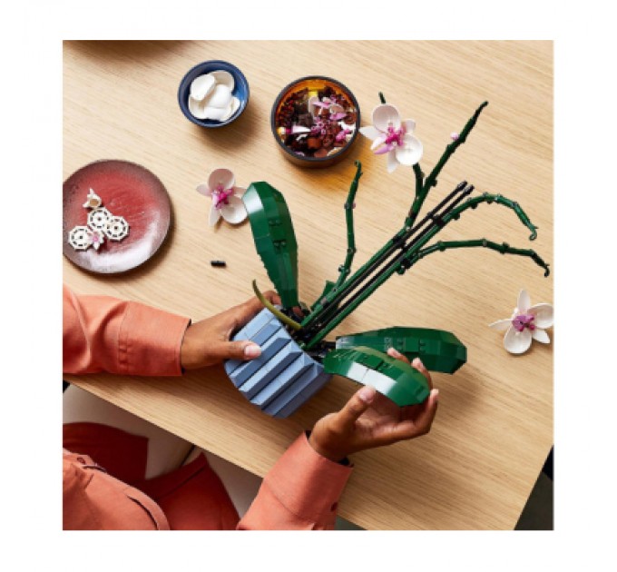 Конструктор LEGO Icons Орхідея (10311-)