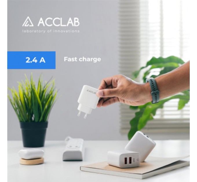ACCLAB Зарядний пристрій ACCLAB AL-TC224 2хUSB 5В/2,4A/12W (1283126538834)