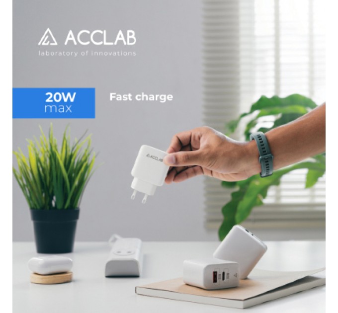 ACCLAB Зарядний пристрій ACCLAB AL-TC220 (1xUSB, 1xType-C) (1283126556494)