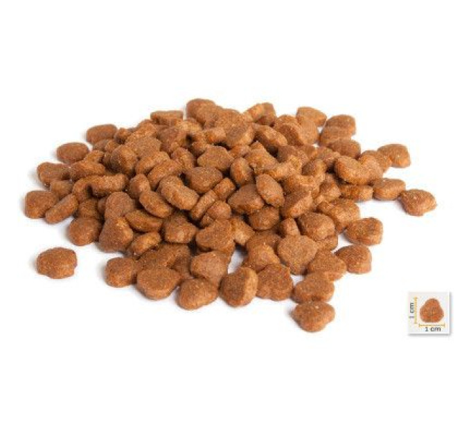 BonaCibo Сухий корм для кішок BonaCibo Adult Cat Lamb&Rice 2 кг (8694686406120)