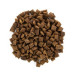Brit Care Сухий корм для кішок Brit Care Cat GF Sterilized Urinary Health 2 кг (8595602540730)