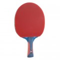 Joola Ракетка для настільного тенісу Joola Rossi JR Pro (53140) (930768)