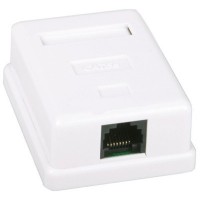 Комп'ютерна розетка RJ45 x1 UTP 5e Kingda (KD-WP6034-C5e)