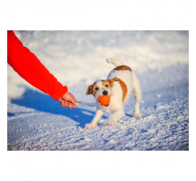 Liker Іграшка для собак Liker Cord М'ячик з мотузкою 9 см (6297)