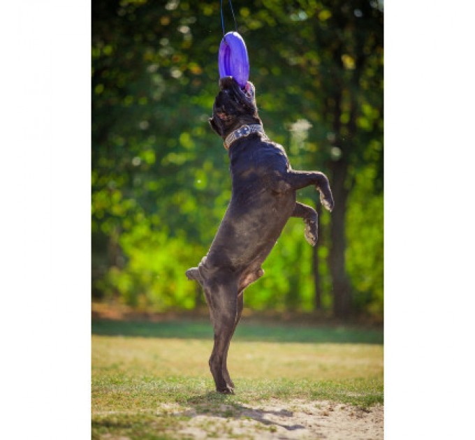 Puller Іграшка для собак Puller Maxi 30 см (6492)