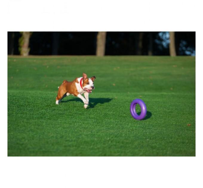 Puller Іграшка для собак Puller Maxi 30 см (6492)