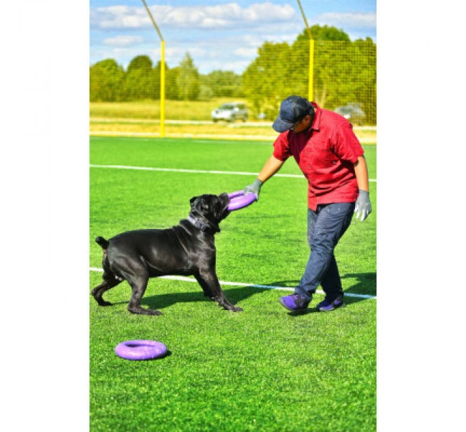 Puller Іграшка для собак Puller Maxi 30 см (6492)