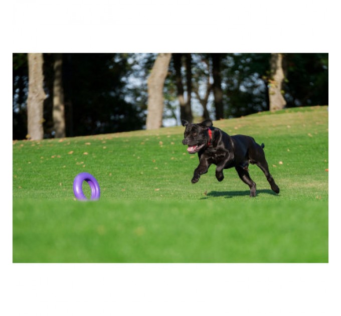 Puller Іграшка для собак Puller Maxi 30 см (6492)