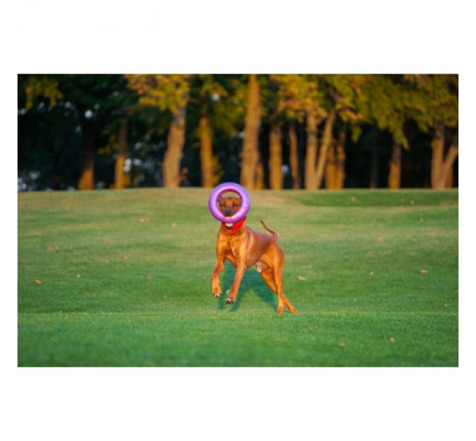 Puller Іграшка для собак Puller Maxi 30 см (6492)