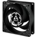 Arctic Кулер до корпусу Arctic P8 SILENT/5-PACK (ACFAN00301A)
