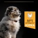 Сухий корм для собак Purina Pro Plan Dog Medium Puppy з високим вмістом курки 12 кг (7613035120402)
