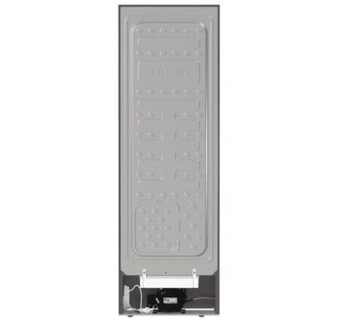 Gorenje Морозильна камера Gorenje FN619EES5