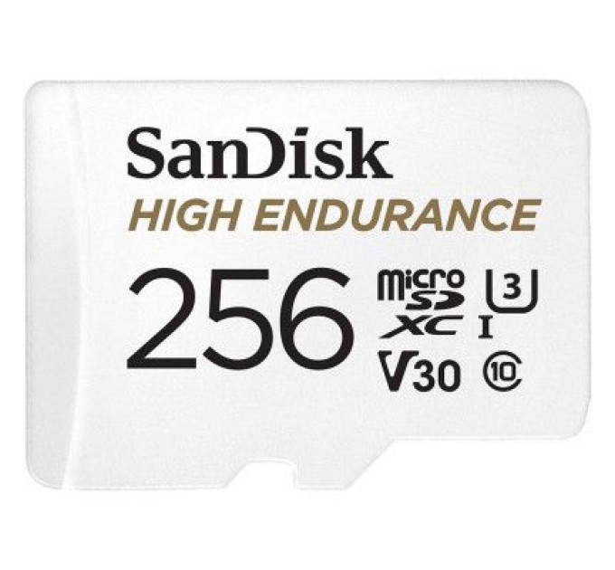 SanDisk Карта пам'яті SanDisk 256GB microSD class 10 UHS-I U3 V30 High Endurance (SDSQQNR-256G-GN6IA)