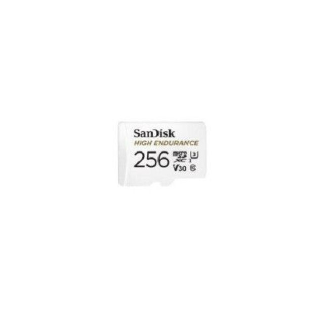 SanDisk Карта пам'яті SanDisk 256GB microSD class 10 UHS-I U3 V30 High Endurance (SDSQQVR-256G-GN6IA)