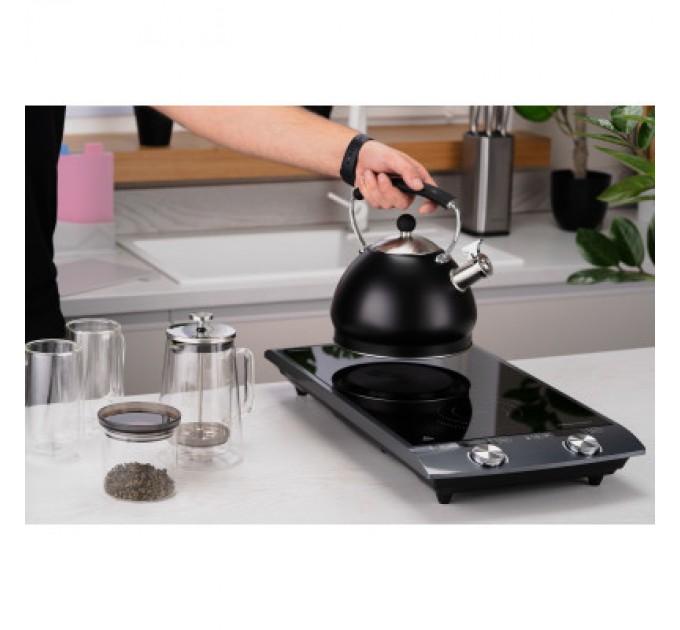 Ardesto Настільна плита Ardesto ICS-B216