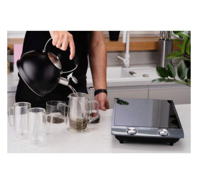 Ardesto Настільна плита Ardesto ICS-B216