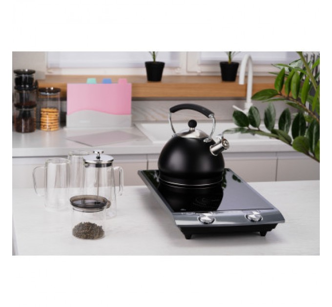 Ardesto Настільна плита Ardesto ICS-B216