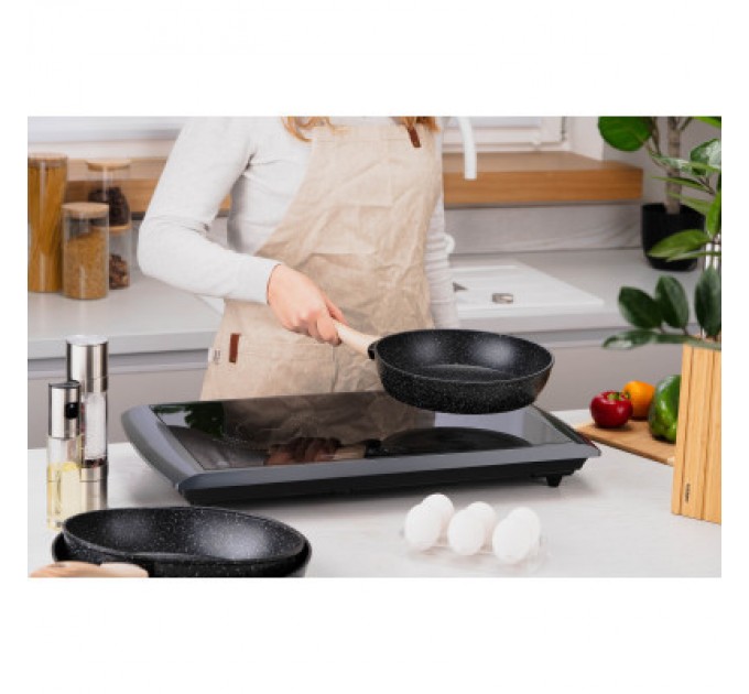 Ardesto Настільна плита Ardesto ICS-B217