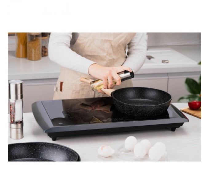 Ardesto Настільна плита Ardesto ICS-B217